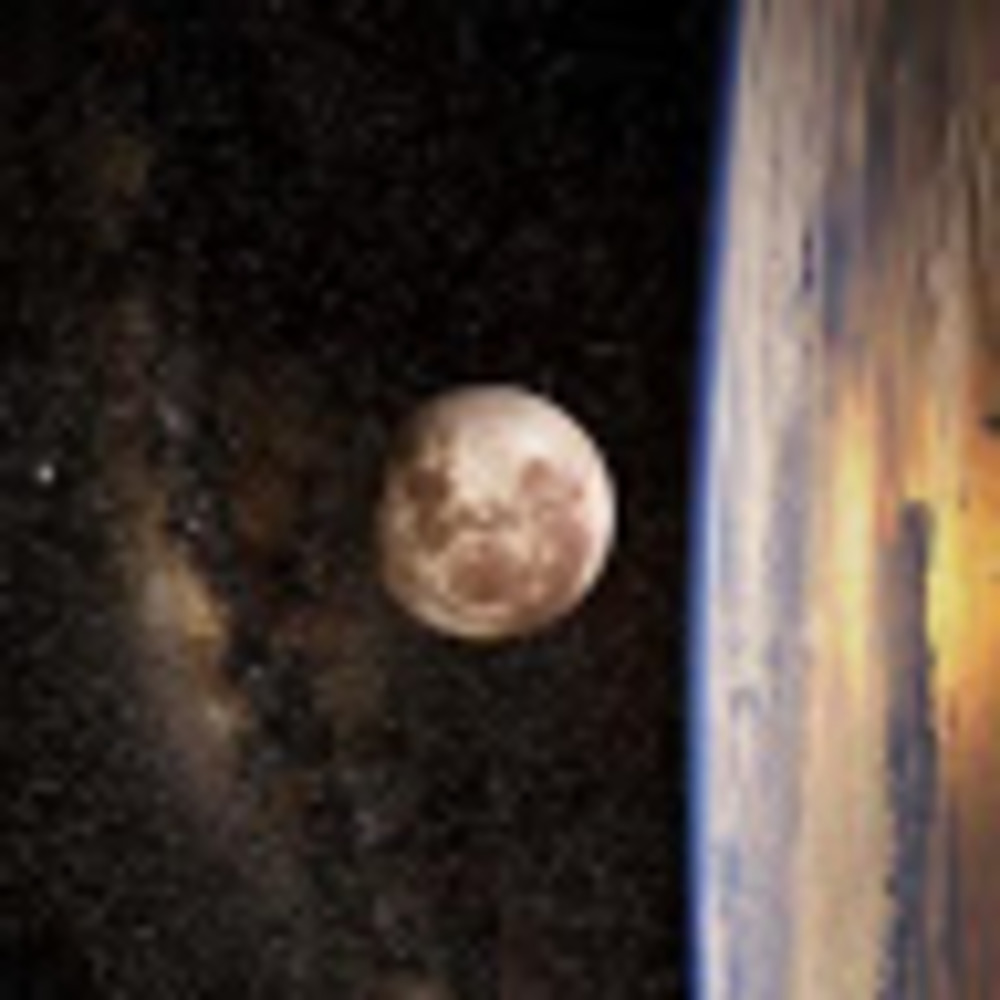 Meet your Posher, Timothy